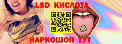 прущие грибы Малгобек