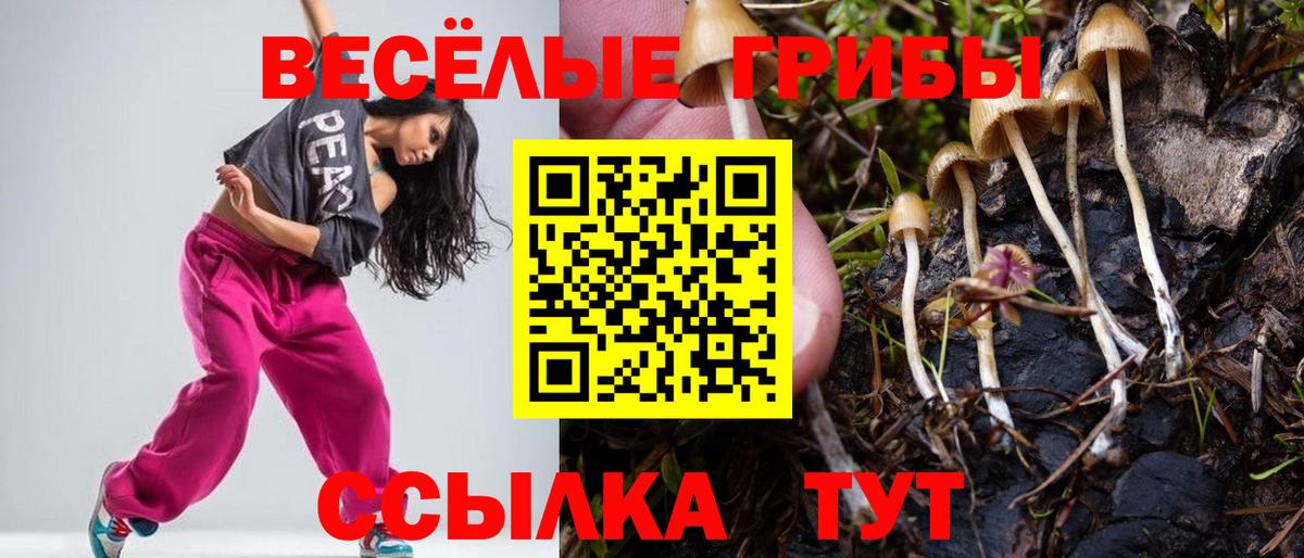Галлюциногенные грибы Cubensis  Галлюциногенные грибы Psilocybe  Вход с VPN  как найти закладки  Чехов 