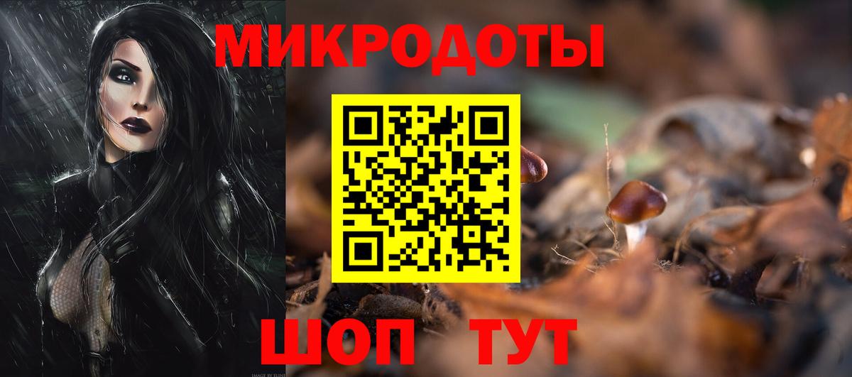 Галлюциногенные грибы Psilocybine cubensis Чехов